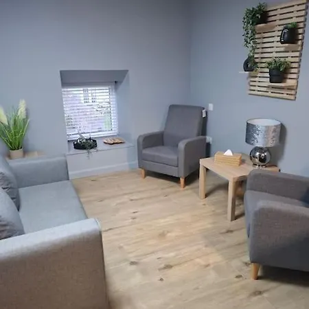 3 At Busy Bee Daingean