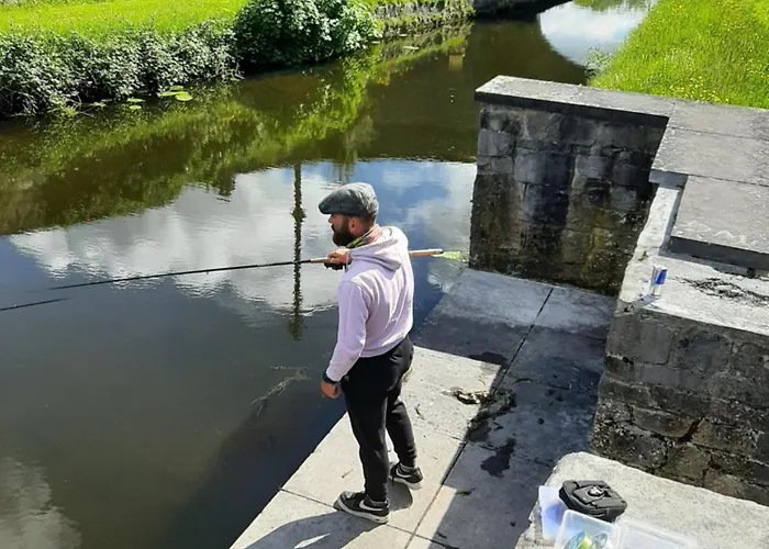 Appartement 3 At Busy Bee Daingean